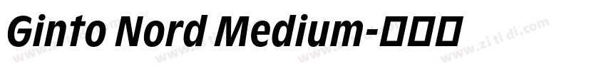 Ginto Nord Medium字体转换 Ginto Nord Medium字体转换
